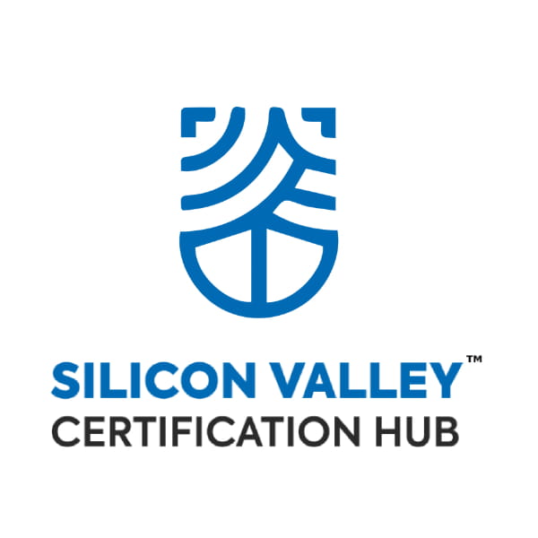 Logo Silicon Valley (1)